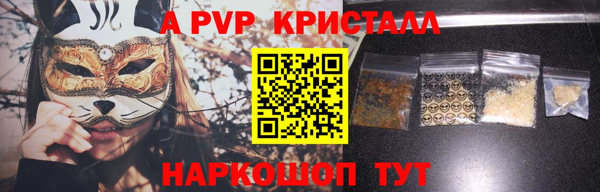 A PVP крисы CK Гай