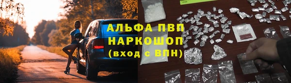 spice Баксан