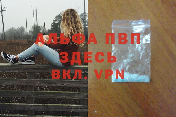 spice Баксан