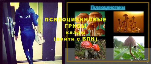 мет Балахна