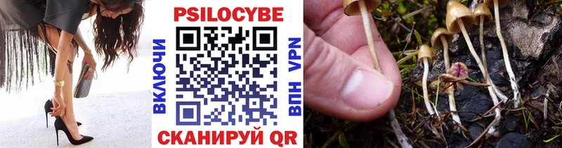 Галлюциногенные грибы прущие грибы  наркотики  Гай 