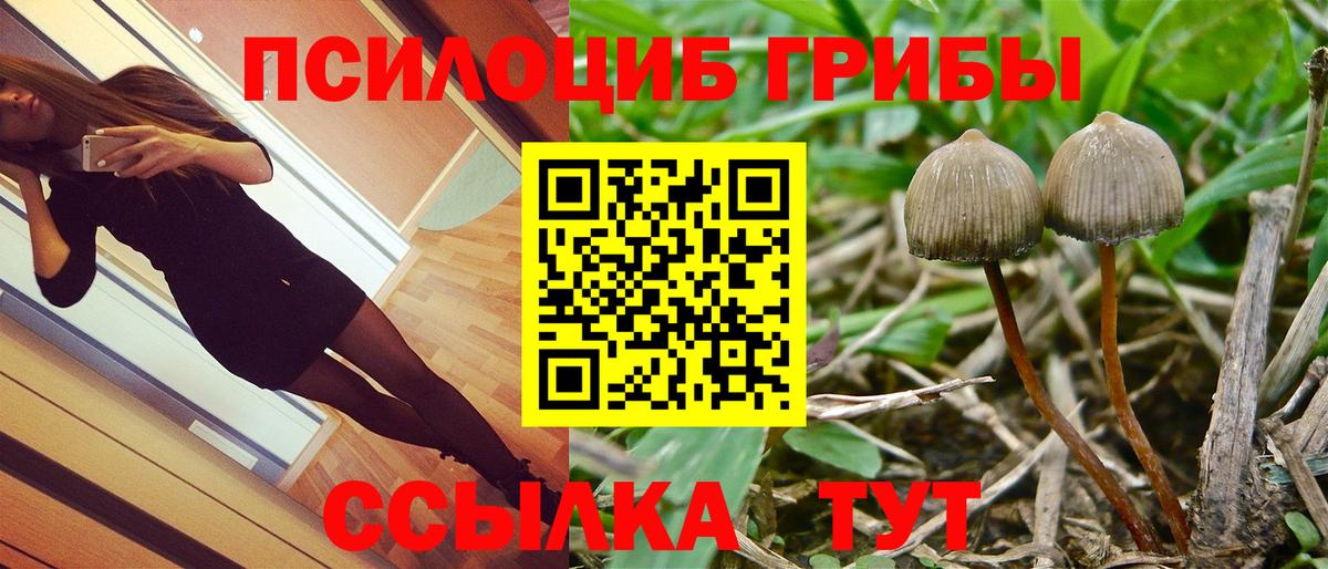 Псилоцибиновые грибы прущие грибы Гай