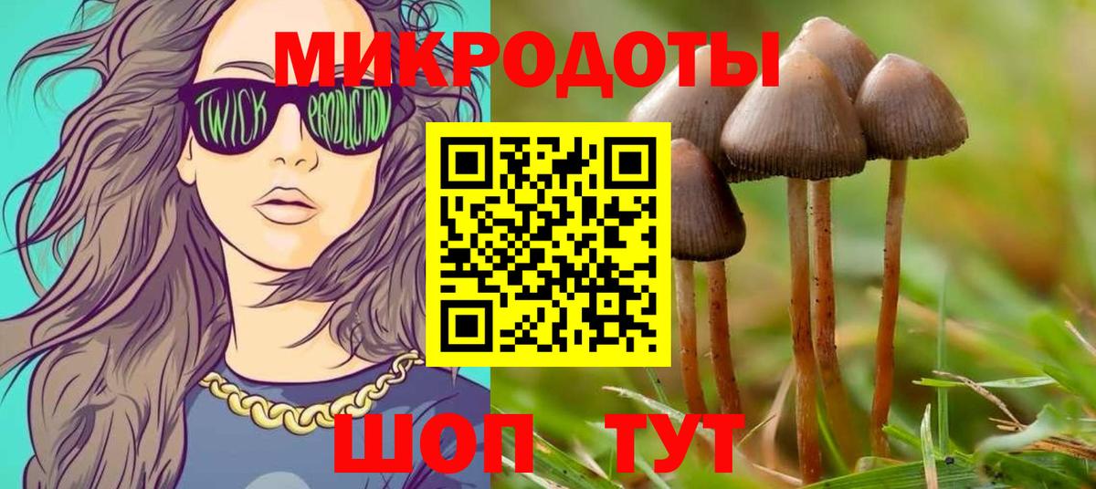 Гай  Псилоцибиновые грибы мухоморы  Вход с VPN 