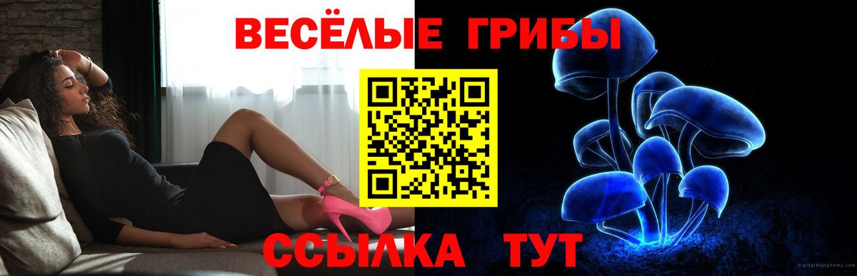 Галлюциногенные грибы Psilocybine cubensis Гай